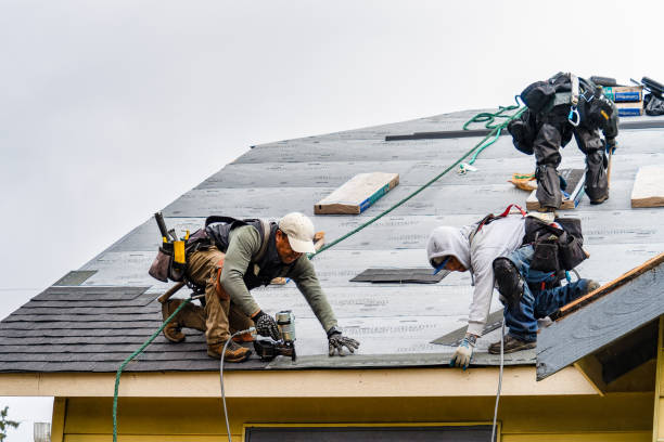 Professional Gutter Installation technician working in Dalmatia, PA